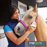 Stable & Yard Essentials by Perry Equestrian